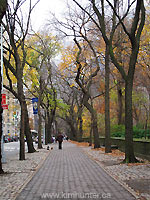 Central Park Autumn Landscape Photo Manhattan New York