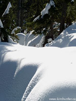 Seymour Mountain Winter Landscape Photo 