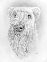 Pet Portraits from Photos Custom Dog Pencil Drawing 