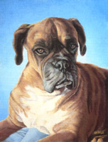 Pet Portrait Painting on Canvas from Photographs Custom Painted Dog Portraits 