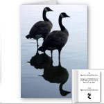 Canada Goose Souvenirs Shirts Gifts Canada Goose Cards & Decor Shop 