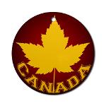 Team Canada Ornaments Canada Souvenir Decorations Sporty Canada Keepsake