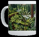 Old Growth Forest Gifts British Columbia Landscape Art Gifts, Vancouver Prints & Landscape Art Cups 