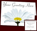 Daisy Cards Personalized Spring Flower Cards