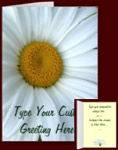 Daisy Cards Personalized White Flower Greeting Cards