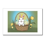 Easter Bunny Cards Gifts PostcardsPack of 8 Easter Bunny Postcards & GIfts Adorable Easter Bunny art & design by Canadian Artist Kim Hunter. Easter Bunny with basket, Tulips & Easter Eggs Gifts Design for Gifts & T-shirts for Home & Office, Men,