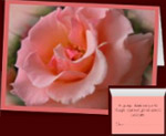 Peach Rose Cards Custom Personalized Greeting Cards 