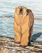 Wildlife Paintings Polar Bear Painting Churchill MB bear painting by Canadian Artist Kim Hunter / Indigo