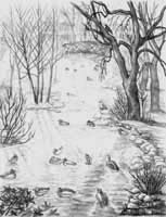 Pencil Sketch Stanley Park Landscape Sketch drawing waterfowl. View from the cement bridge over Lost Lagoon's Creek in Stanley park pencil drawing  by Canadian Vancouver BC Artist INDIGO aka Kim Hunter Pencil Sketches / Drawings / Illustration Flowers Wildlife Landscapes Sketches Ink Drawings & Original Art & illustration landscape sketches, wildlife, nudes, people, portraits, pets, Art & Design Pencil, graphite & ink sketches & drawings by Kim Hunter freelance professional artist