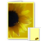 Flower Cards Personalized Message Sunflower Cards