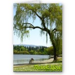 Weeping Willow Thank You Card Blank Cards