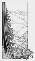 landscape Pencil  Drawing / Graphite, Sketch,  landscape, mountain landscape Conceptual sketch for a exterior wall mural original pencil sketch by artist Kim Hunter aka INDIGO pencil drawing  by Canadian Vancouver BC Artist INDIGO aka Kim Hunter Pencil Sketches / Drawings / Illustration Flowers Wildlife Landscapes Sketches Ink Drawings & Original Art & illustration landscape sketches, wildlife, nudes, people, portraits, pets, Art & Design Pencil, graphite & ink sketches & drawings by Kim Hunter freelance professional artist